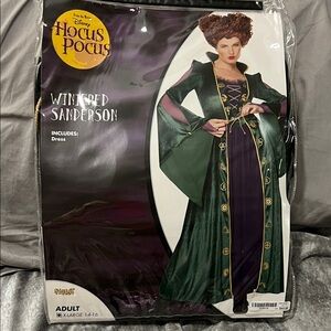 Disney Hocus Pocus Winifred Sanderson Green and Purple Dress